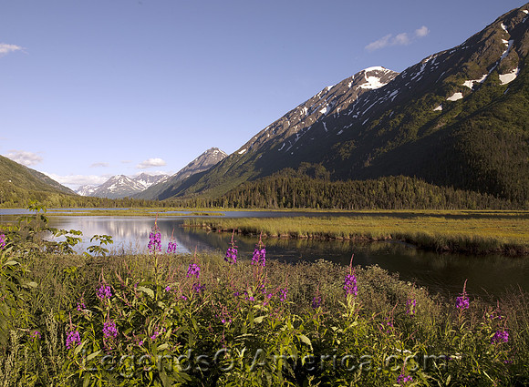 Chugach National Forest, AK - Scenic View