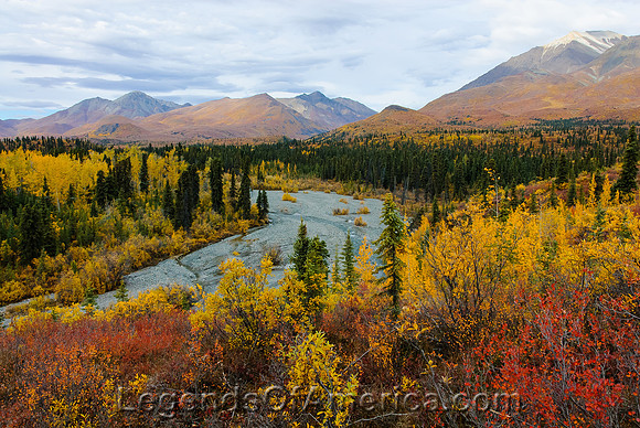 Wrangel-St. Elias National Park, AK - Trail Creek