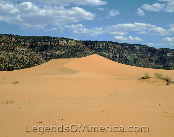 Coral Pink Sand Dunes State Park, UT - View