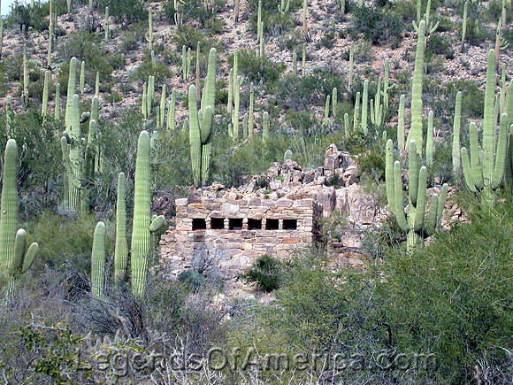 Saguara National Park, AZ
