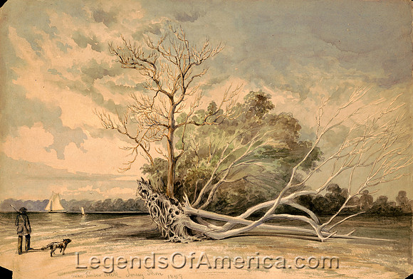 Near Timber Creek, Jersey shoreJamesFQueen1859