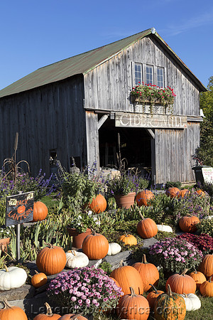 St. Albans, VT - Hudaks Farm Pumpkins