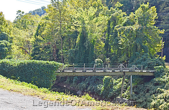 Welch, WV - Kudzu Covered Bridge