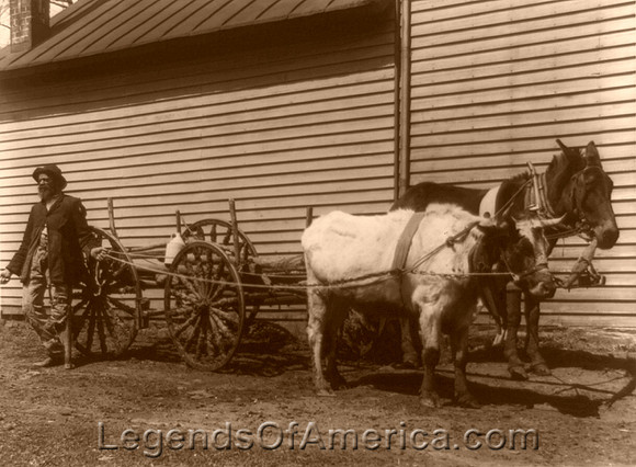 Virginia - Pulling a Wagon