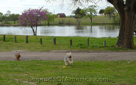 Goddard, KS - Lake Afton Dogs