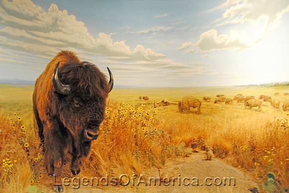 Topeka, KS - Kansas Museum of History Display