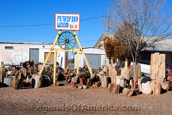 Sun Valley, AZ - Petrified Wood