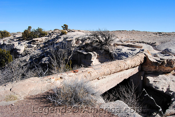 Petrified Forest, AZ - Agate Bridge - 2