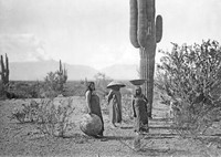 Maricopa Women gathering Saguaro fruit in Arizona