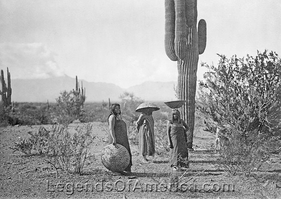 Maricopa Women gathering Saguaro fruit in Arizona