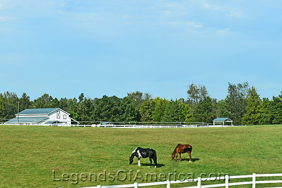 Richmond, VA - Area Horse Farm