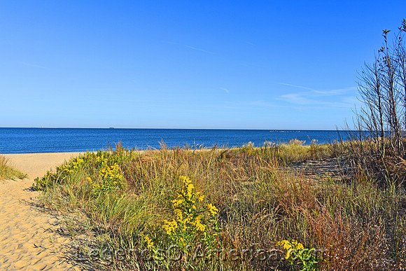 Virginia Beach, VA - Fort Landing State Park Beach