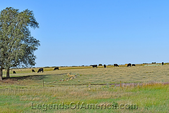 Barton County, KS - Landscape - 3