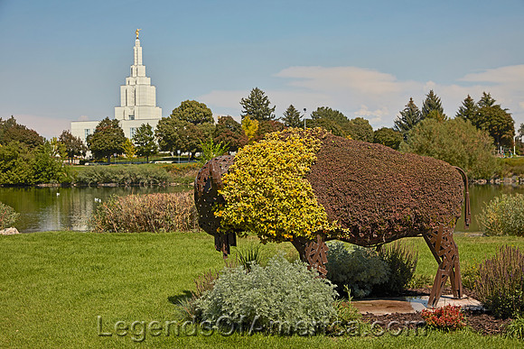 Idaho Falls, ID - Buffalo Sculpture