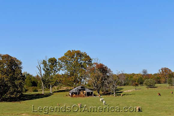 Mountain View, MO - Missouri Farm