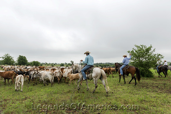 Chappel Hill, TX - Lonesome Pine Ranch - 2