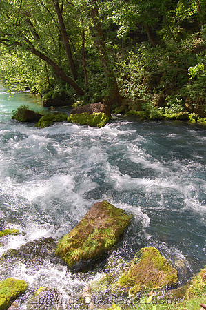 Big Spring, MO - View - 2
