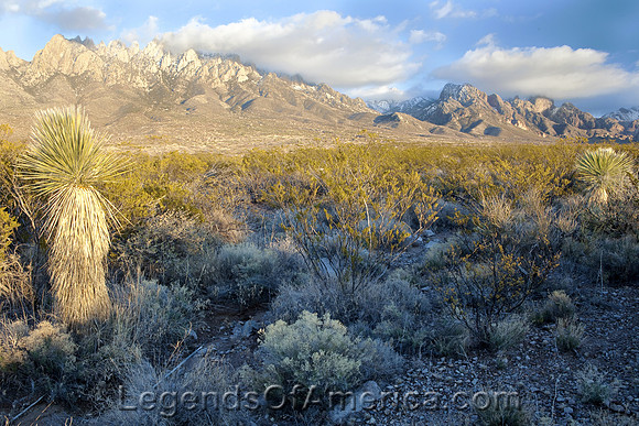 Organ MountainsNM-blm2010-4