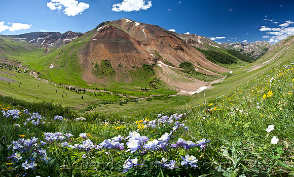 RedCloudPeakCOBobWickblm2011-4
