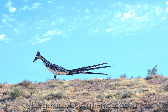 Deming, NM - Road Runner