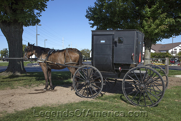 Middlebury, IN - Amish Horse and Buggy