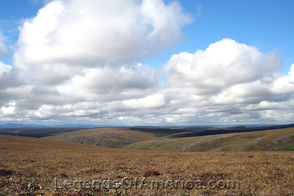 Bering Land BridgeAKRollingTundra-nps