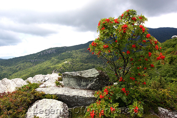 Blue Ridge Parkway-DavidWest-fhwa