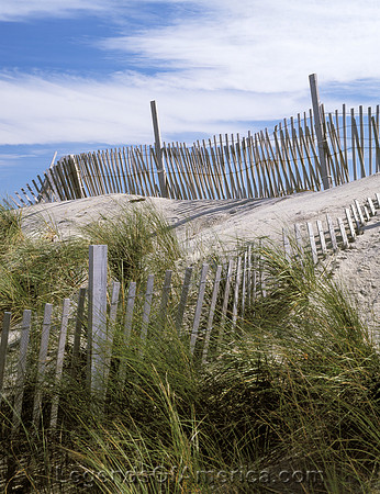 Cape Hatteras, NC -  Dunes