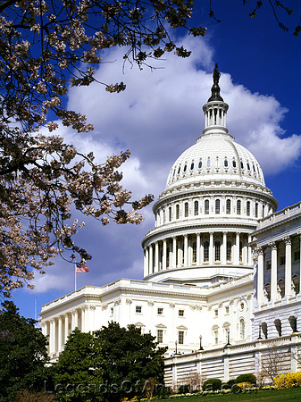 Washington, D.C. - US Capitol