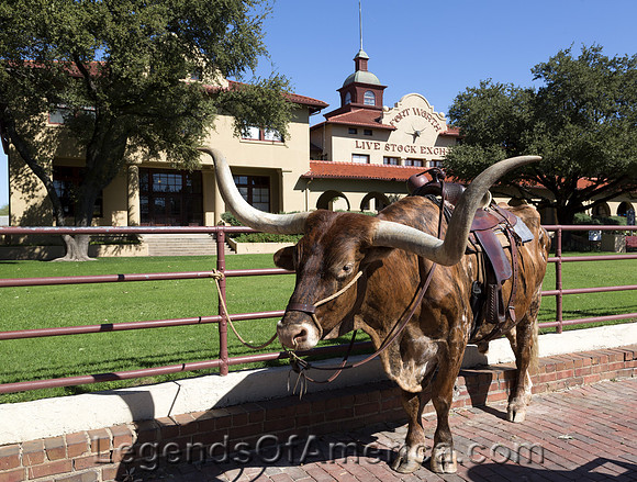 FortWorthStockyardsCarolHighsmith2012-4