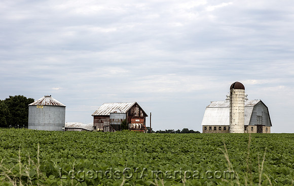 Kennedyville, MD - Working Farm