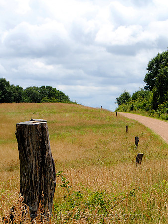 Florence, MO - Butterfield Trail Fenceline