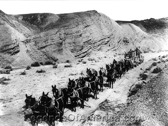 Mojave, CA - 20 Mule Borax Team