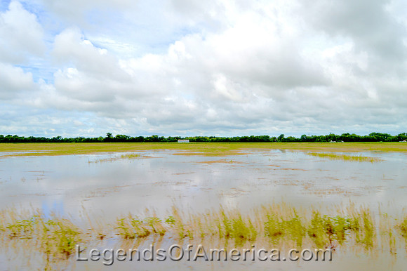 Saffordville, KS - Lowlands