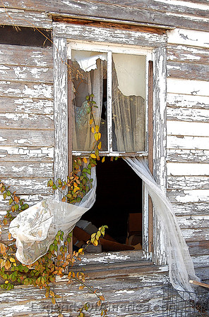 Cross Timbers, MO - Window