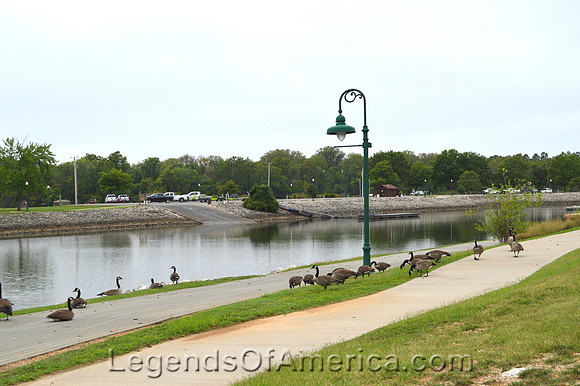 Warsaw, MO - Drake Harbor Geese