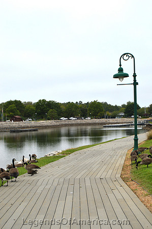 Warsaw, MO - Drake Harbor Geese - 2