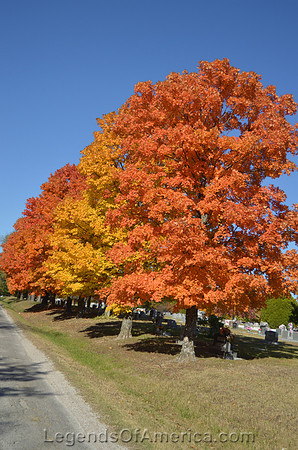 Windsor, MO - Fall Trees