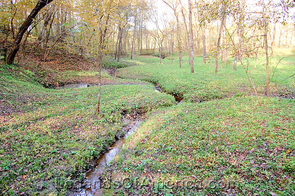 Boone's Lick, MO - 2