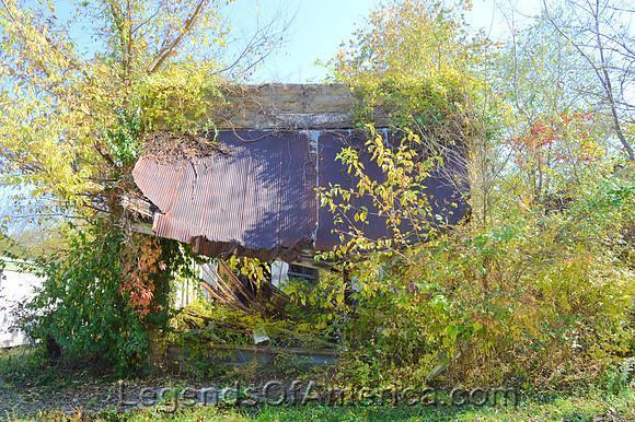 Vista, MO - Overgrown Building