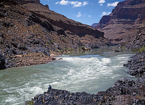 Colorado River, AZ - Rapids