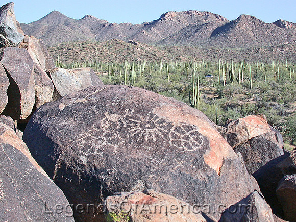 Saguaro National Park, AZ - Pictographs