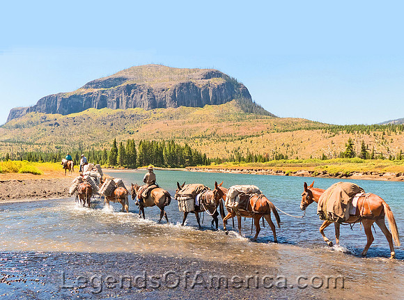 Yellowstone National Park, WY - Pack Train crossing the Yellowstone River