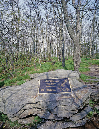 Fannin County, GA - Springer Mountain