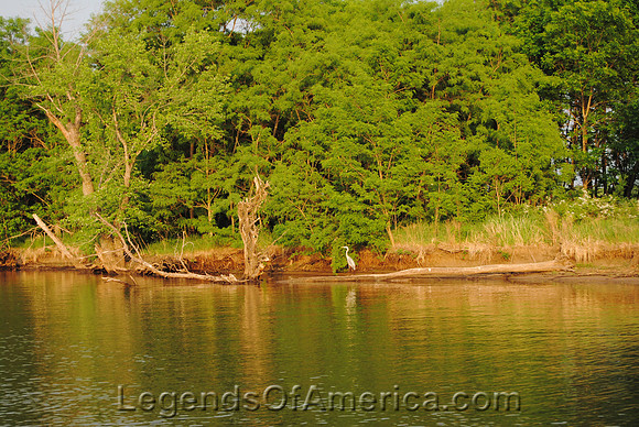Warsaw, MO - Lake Ozarks Heron
