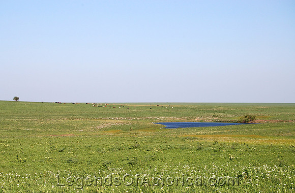 Greenwood County. KS - Landscape - 4