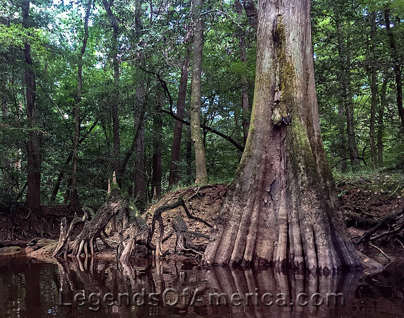 Congaree National Park, SC