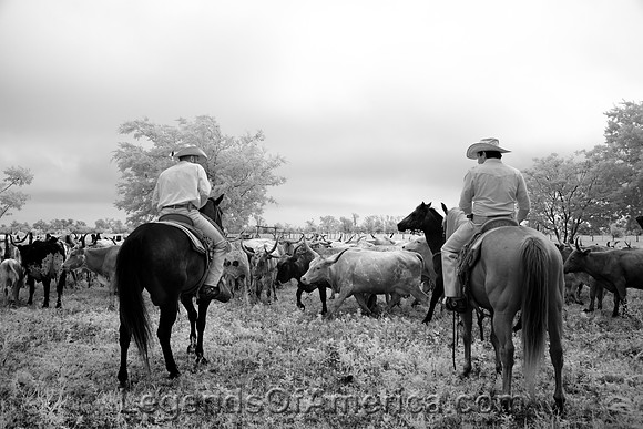 Chappell Hill, TX -Lonesome Pine Ranch Cowboys