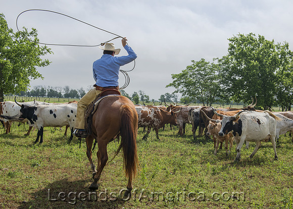 Chappell Hill, TX - Lonesome Pine Ranch