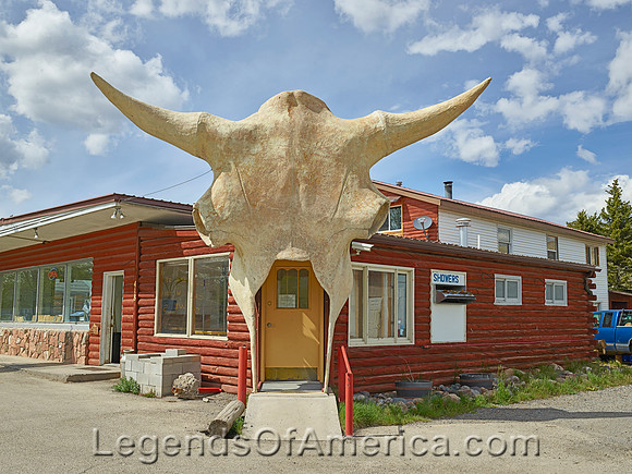 Dubois, WY - Cow Skull